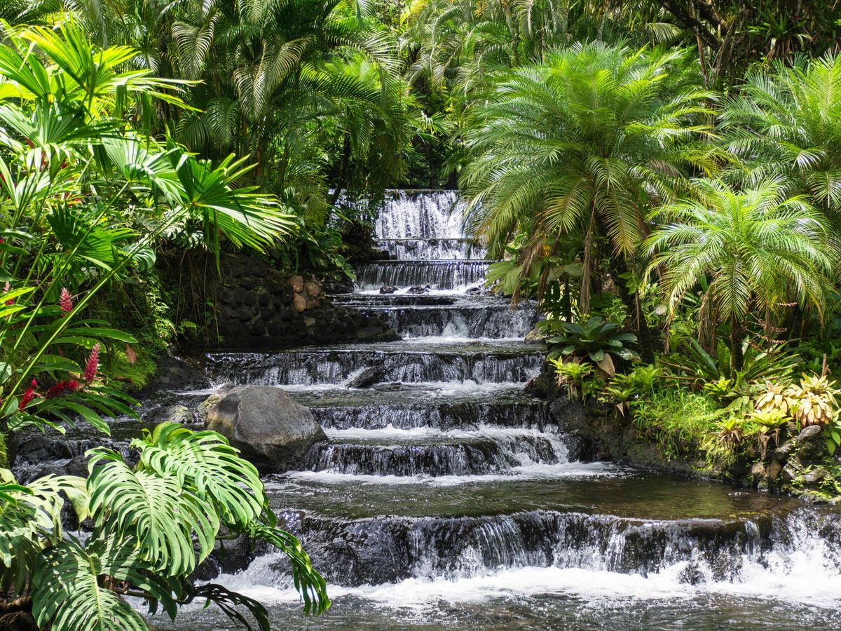 Tropical paradise hot springs at Tabacon Resort in Costa Rica